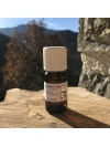 Huile essentielle Eucalyptus citronné