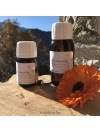ms_calendula