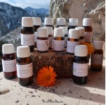 macerations-solaires_huiles-vegetales