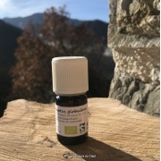 he_eucalyptus-globulus