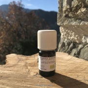 he_verveine-citronnee