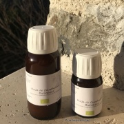 hv_calophyllum
