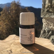 ms_arnica