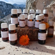 macerations-solaires_huiles-vegetales