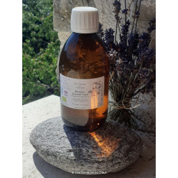 Hydrolat bio de basilic grand vert