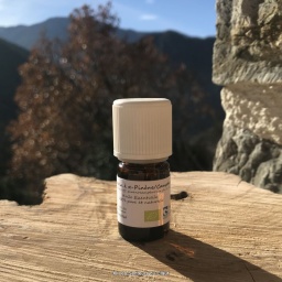 he_romarin-alpha-pinene-camphre