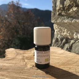 he_verveine-citronnee