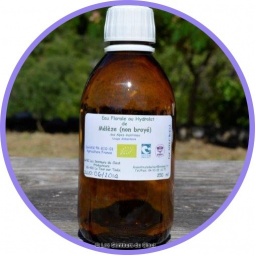 Hydrolat bio de mélèze