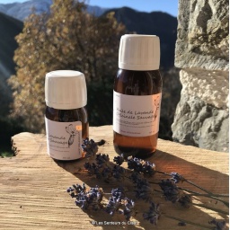 ms_lavande-officinale