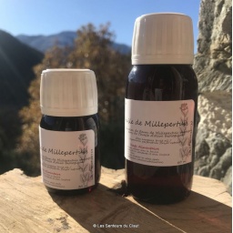 ms_millepertuis
