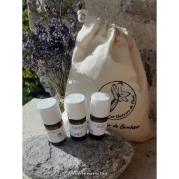 pochon_olfaction