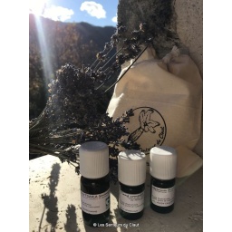pochon_olfaction_malgache