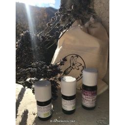 pochon_olfaction_mercantour