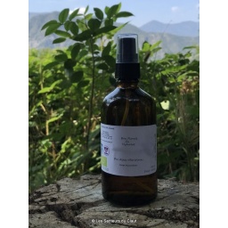 Hydrolat Genévrier 100ml vapo